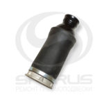 Audi A6 (4B, C5) Allroad, Quattro 2000-2006.
